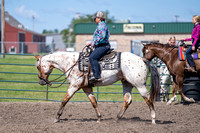 Western Pleasure/Horsemanship